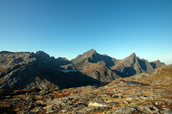 Où pratiquer le snorkeling au milieu des raies manta à Hawaii ?
